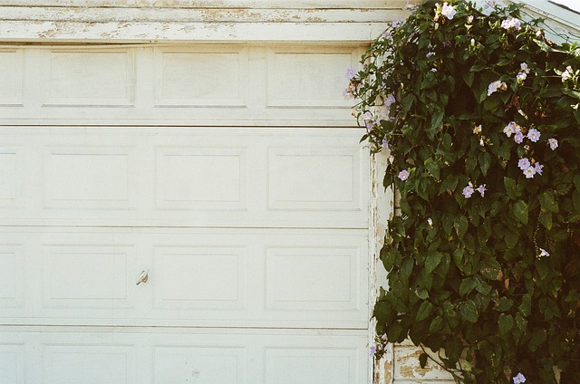 Can Weather Damage a Garage Door?